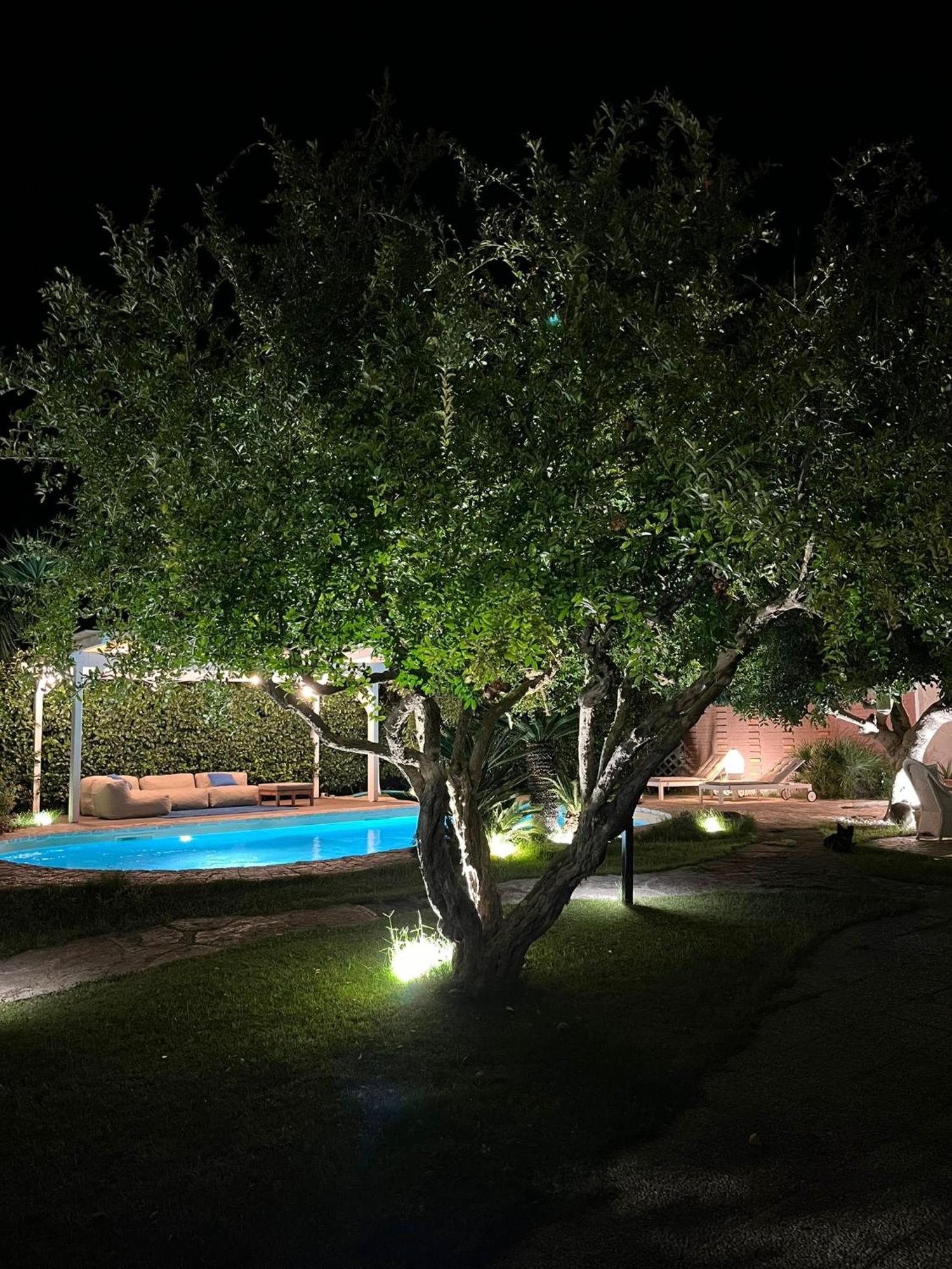 Bed and Breakfast Kale Giovinazzo Exterior foto